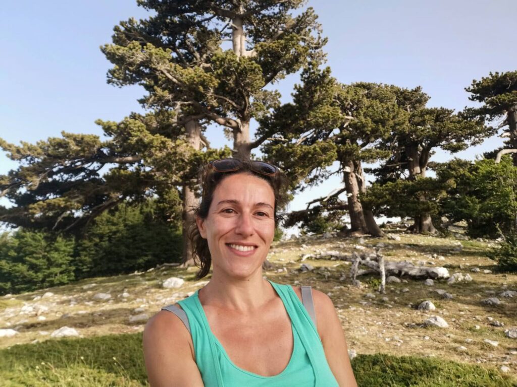 Möchtest du dich endlich selbstbewusst auf Italienisch unterhalten? Der Soforthelfer Minikurs hilft dir, die wichtigsten Sätze für den Alltag zu lernen und sofort anzuwenden. Mit praktischen Übungen und authentischen Redewendungen meisterst du jede Situation – ob beim Einkaufen, im Restaurant oder beim Reisen. Ideal für Anfänger ab A2-Niveau.